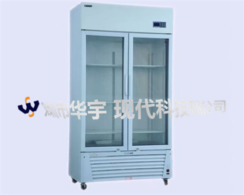 绿巨人黄色网址现代出货照片 绿巨人黄色网址现代出货照片
